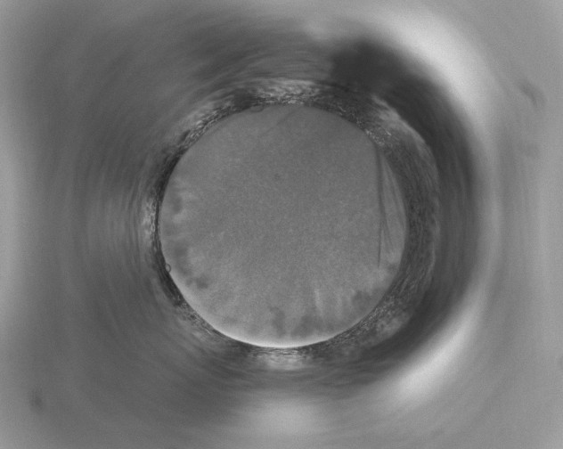 X0000115320767200912141158