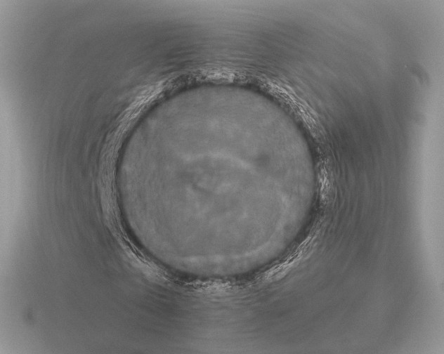 X0000115320769200912141157