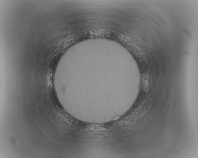 X0000115320770200912141157