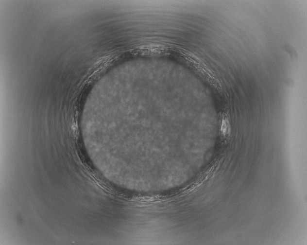 X0000115320771200912141157