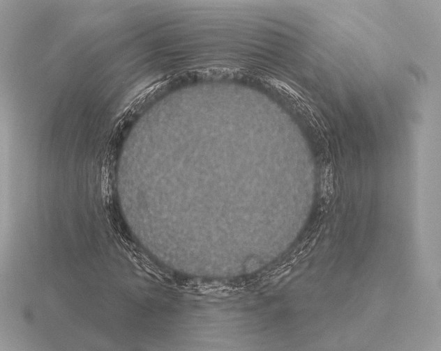 X0000115320774200912141157