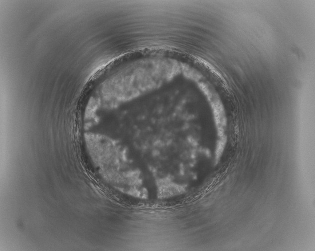 X0000115320775200912141157