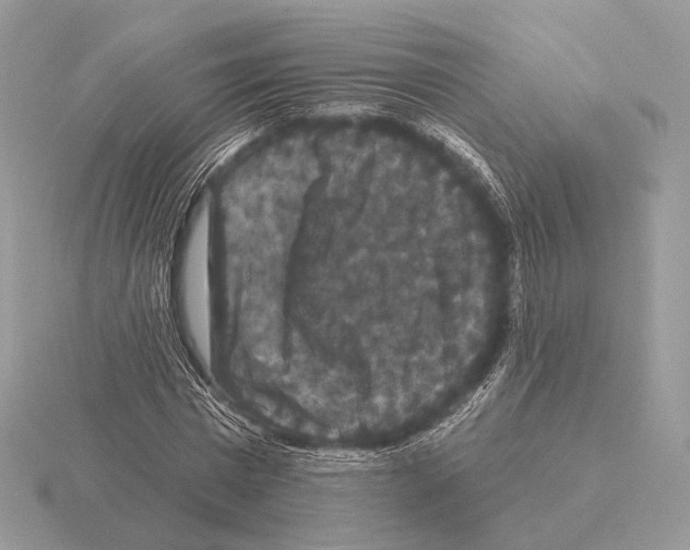 X0000115320777200912141157