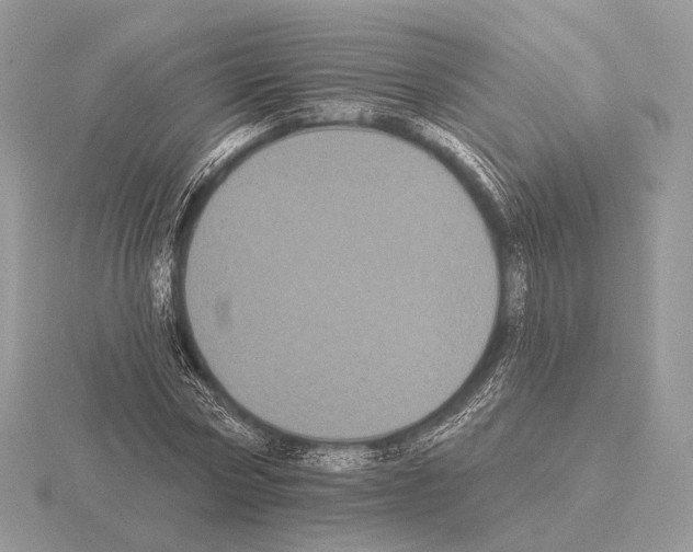 X0000115320778200912141157