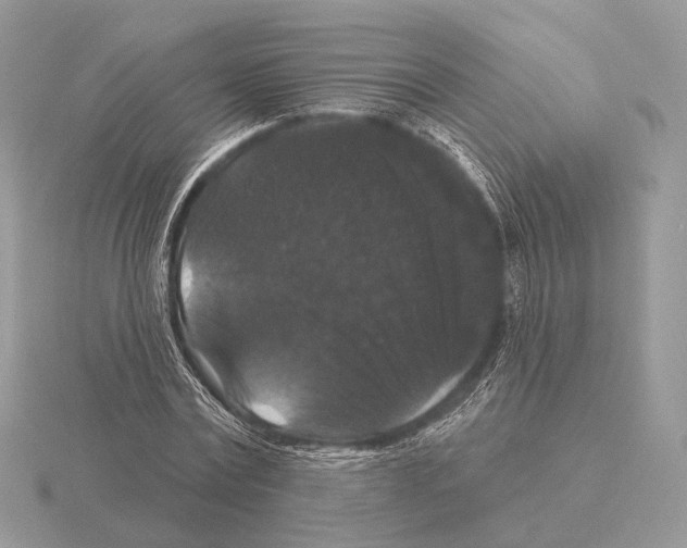 X0000115320779200912141157