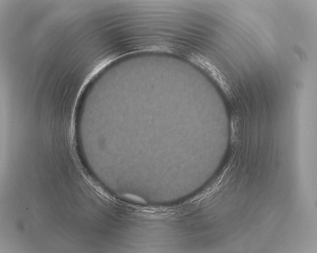 X0000115320780200912141157