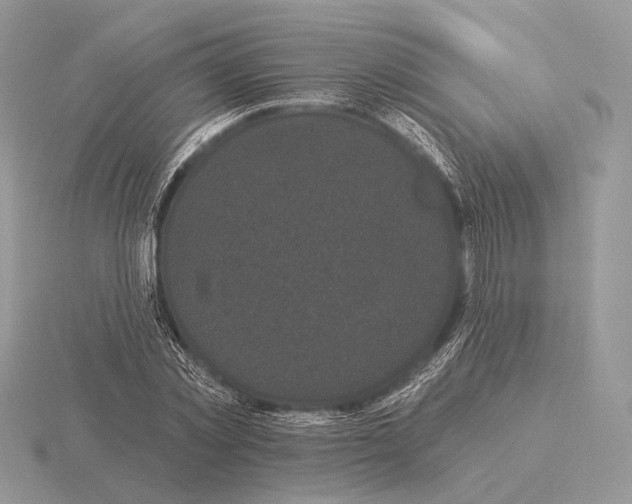 X0000115320781200912141157