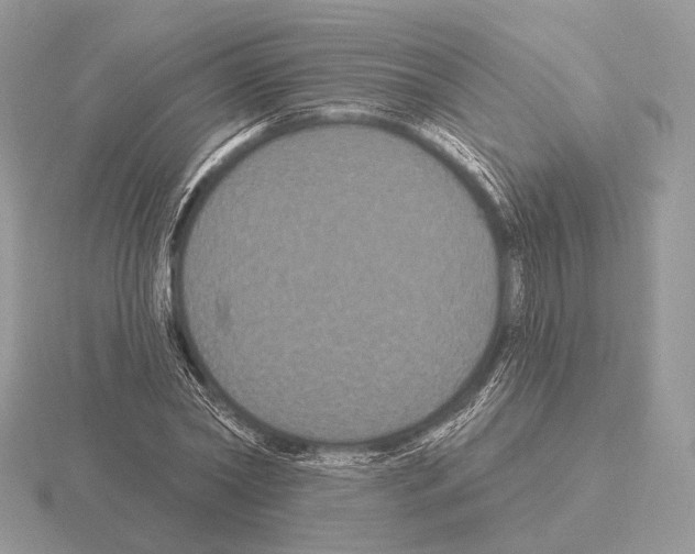 X0000115320782200912141157