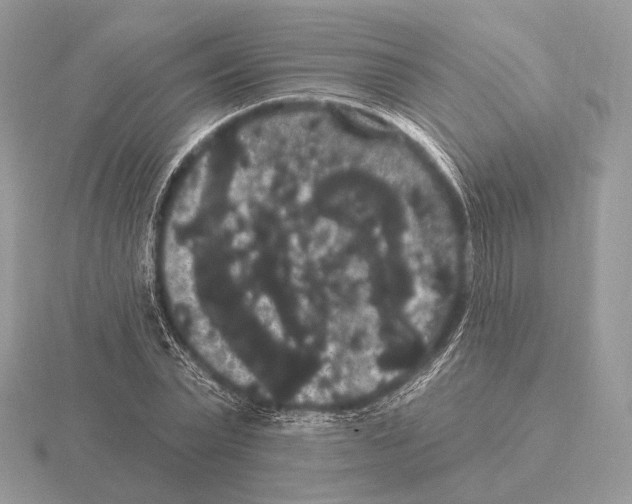 X0000115320783200912141157