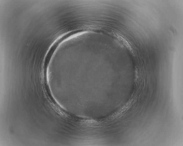 X0000115320784200912141157