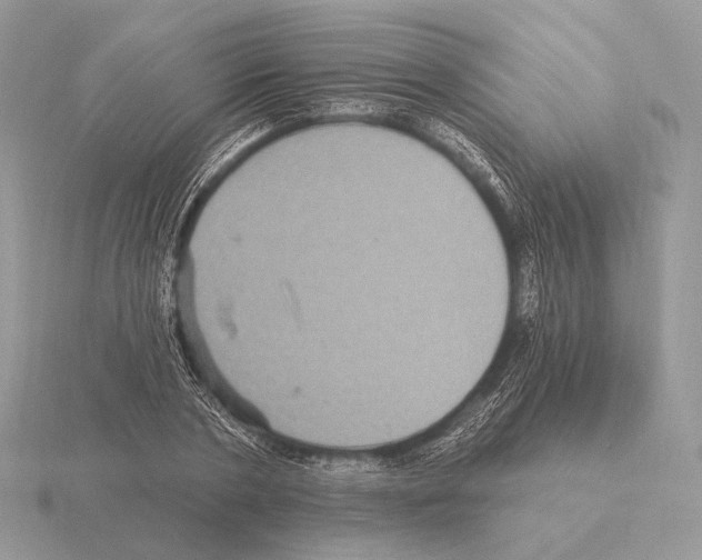 X0000115320786200912141157