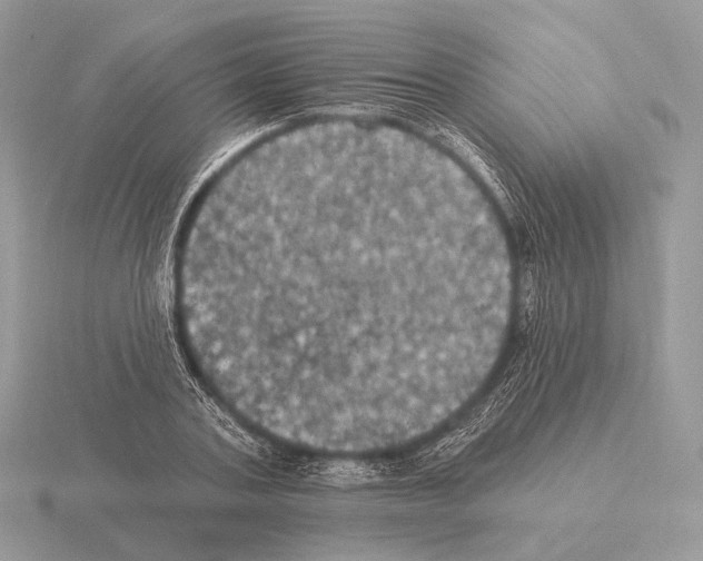 X0000115320787200912141157