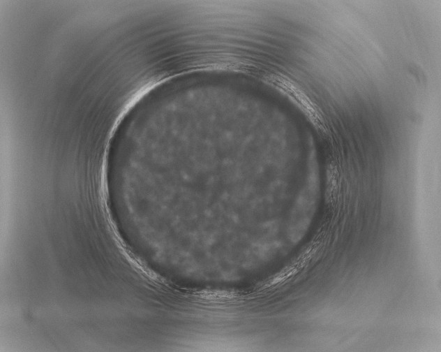 X0000115320788200912141157