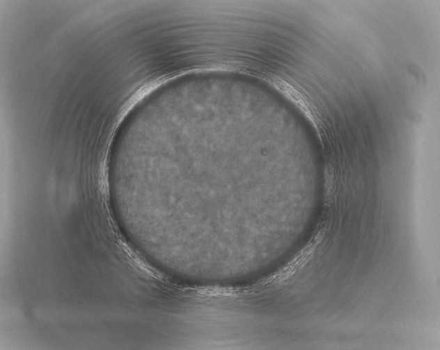 X0000115320789200912141157