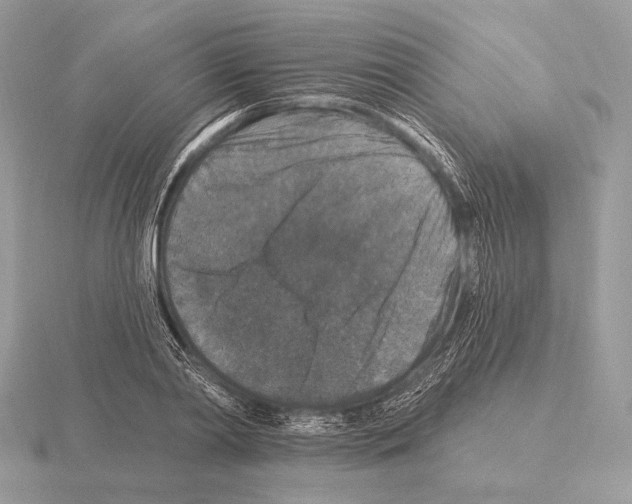 X0000115320790200912141157