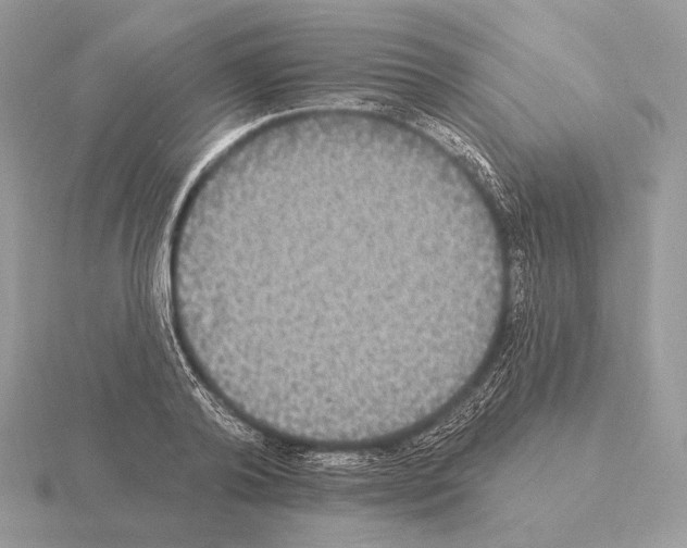 X0000115320792200912141157