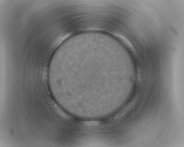 X0000115320793200912141157