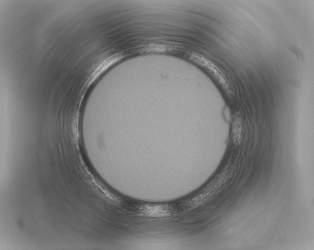 X0000115320794200912141157