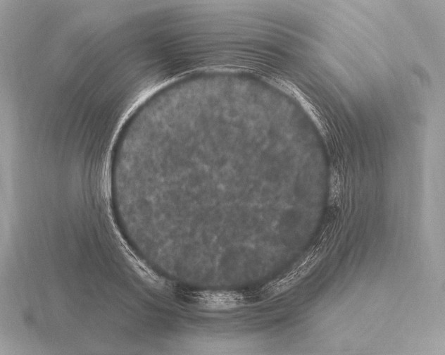 X0000115320795200912141157