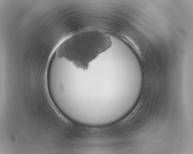 X0000115320796200912141157