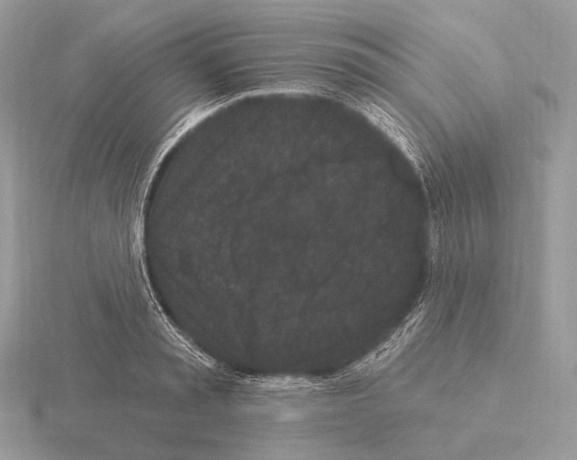 X0000115320797200912141157