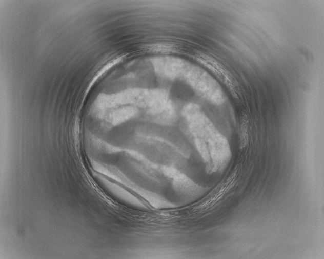 X0000115320798200912141157