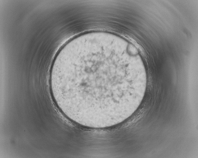 X0000115320799200912141157