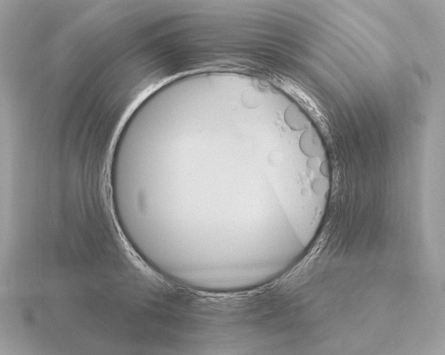 X0000115320800200912141157