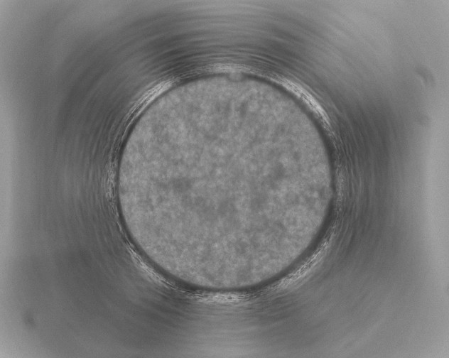 X0000115320801200912141157