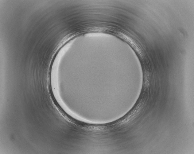 X0000115320802200912141157