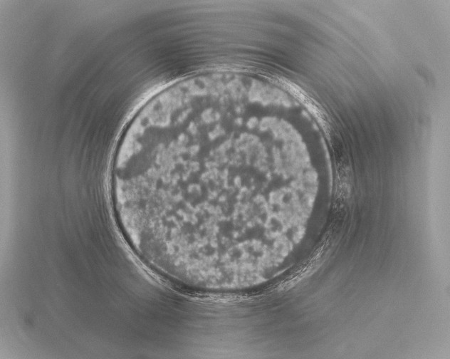 X0000115320803200912141157