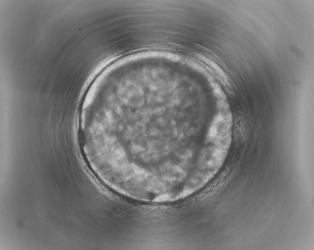 X0000115320804200912141157