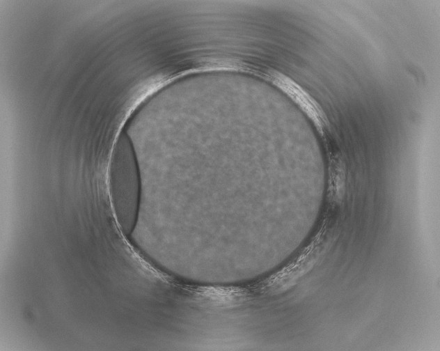 X0000115320805200912141157