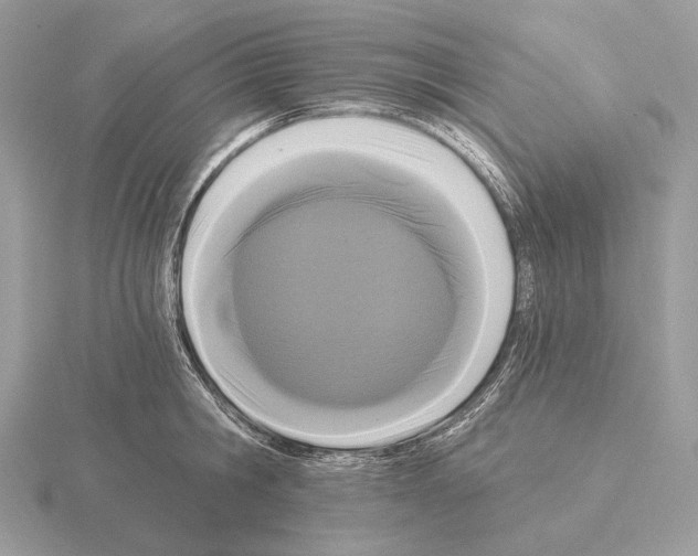 X0000115320806200912141157