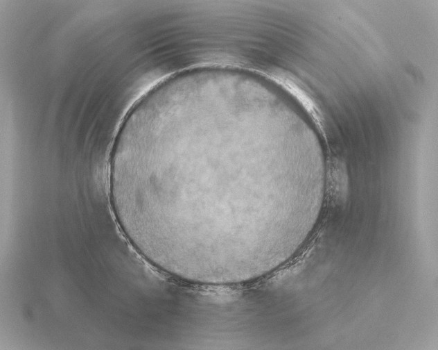 X0000115320807200912141157