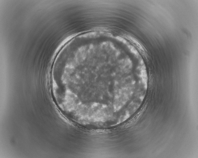 X0000115320808200912141157