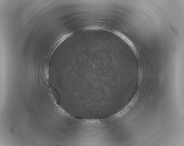 X0000115320809200912141157