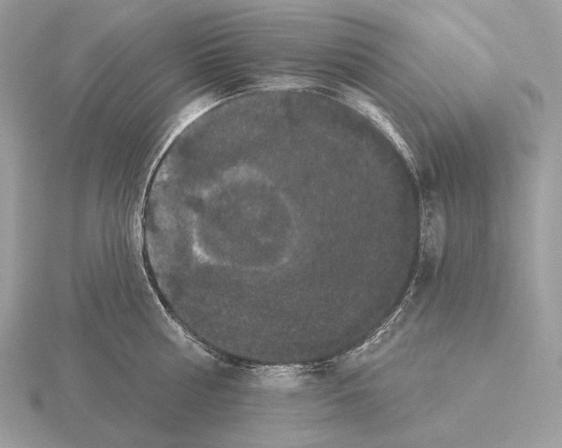 X0000115320810200912141157