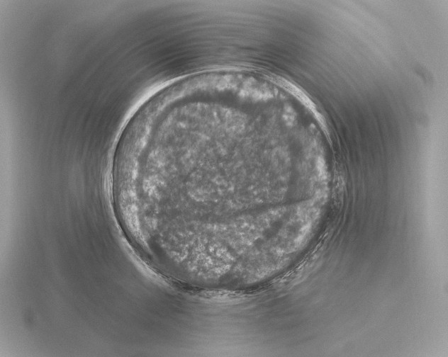 X0000115320811200912141157