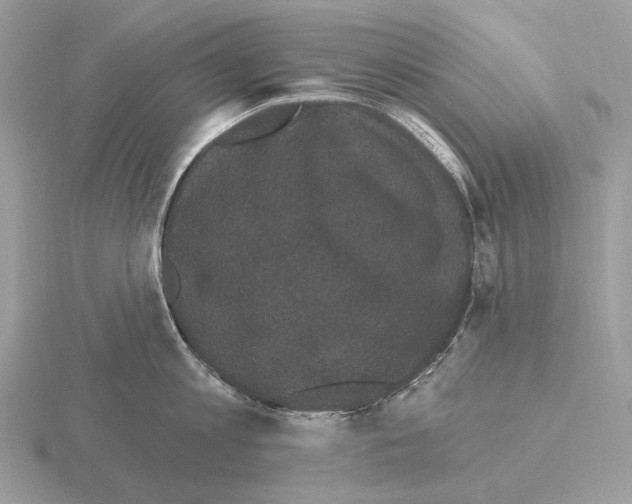 X0000115320813200912141157