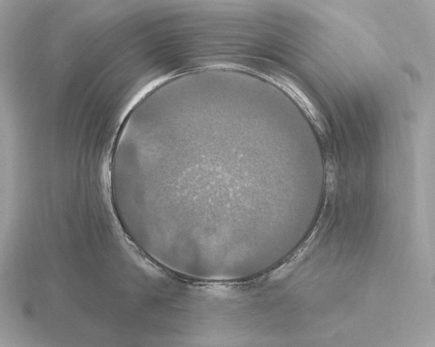 X0000115320814200912141157