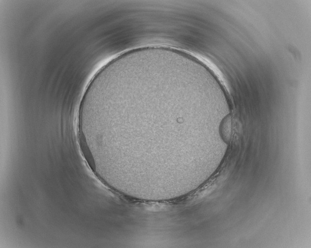 X0000115320815200912141157