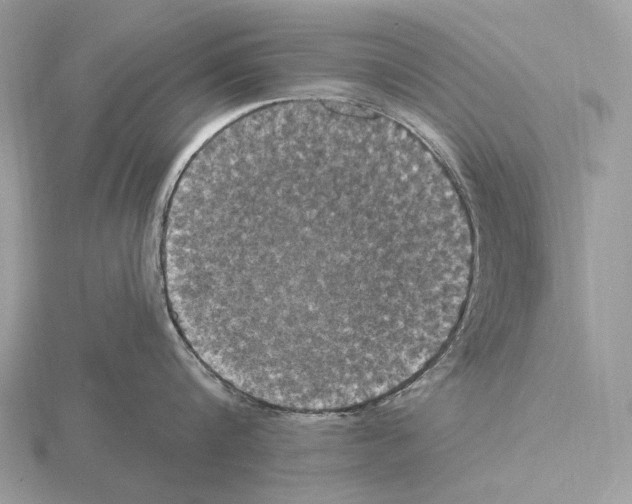 X0000115320816200912141157