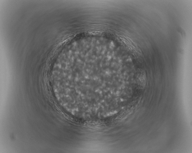 X0000115320817200912141156