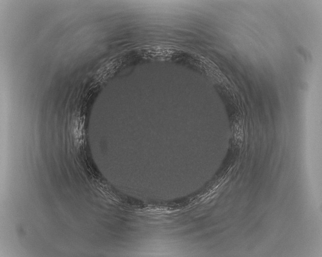 X0000115320818200912141156