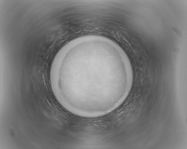 X0000115320820200912141156