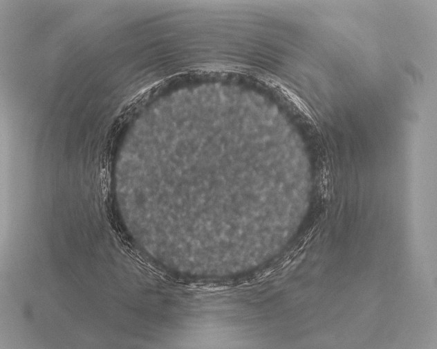 X0000115320821200912141156