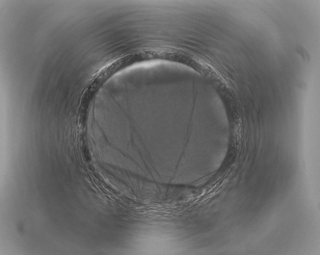 X0000115320822200912141156