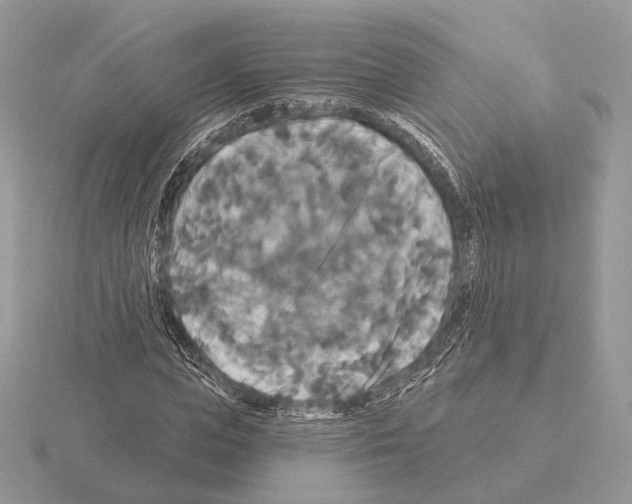 X0000115320823200912141156