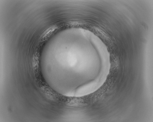 X0000115320824200912141156